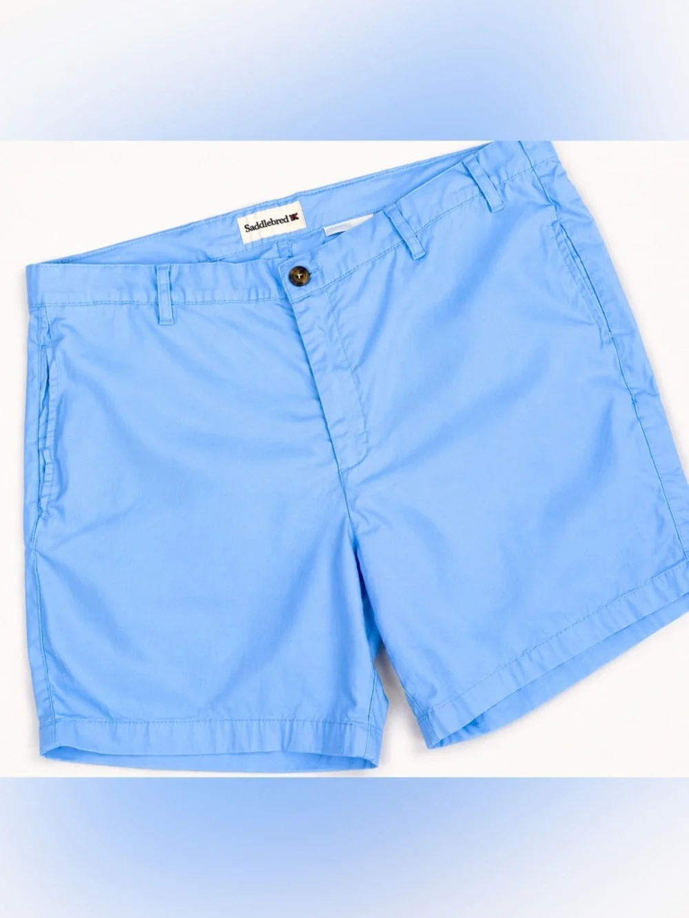 Saddlebred Light Blue Chino Shorts‎ Mens Casual Preppy Coastal Summer